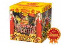 Красивая жизнь Фейерверк купить в Липецке | lipeck.salutsklad.ru