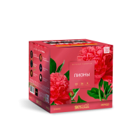 Пионы Салют купить в Липецке | lipeck.salutsklad.ru
