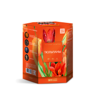 Тюльпаны Салют купить в Липецке | lipeck.salutsklad.ru