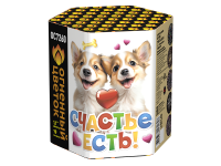 Счастье есть! Салют купить в Липецке | lipeck.salutsklad.ru