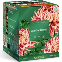 Хризантемы Фейерверк купить в Липецке | lipeck.salutsklad.ru