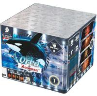 Косатка Фейерверк купить в Липецке | lipeck.salutsklad.ru