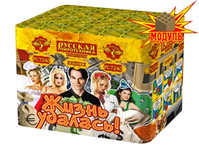 Жизнь удалась Фейерверк купить в Липецке | lipeck.salutsklad.ru