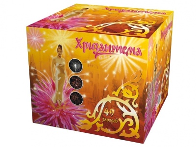 Хризантема Салют купить в Липецке | lipeck.salutsklad.ru