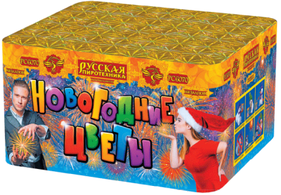Новогодние цветы Фейерверк купить в Липецке | lipeck.salutsklad.ru