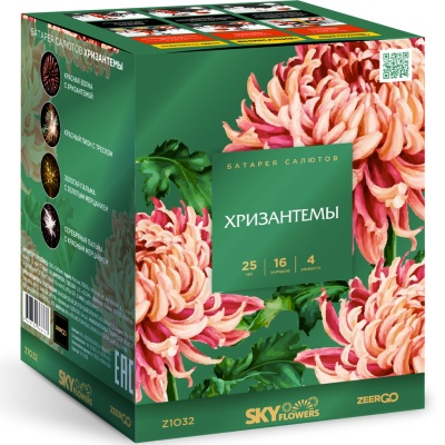 Хризантемы Фейерверк купить в Липецке | lipeck.salutsklad.ru
