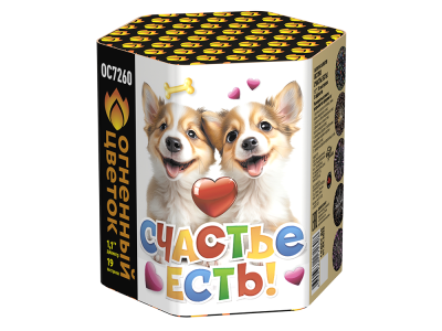 Счастье есть! Салют купить в Липецке | lipeck.salutsklad.ru