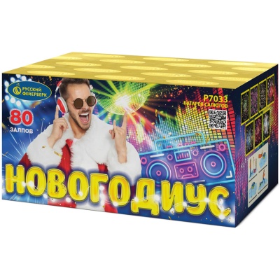 Новогодиус Фейерверк купить в Липецке | lipeck.salutsklad.ru