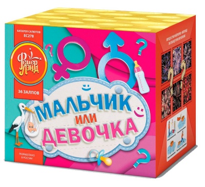 Мальчик или девочка М Фейерверк купить в Липецке | lipeck.salutsklad.ru